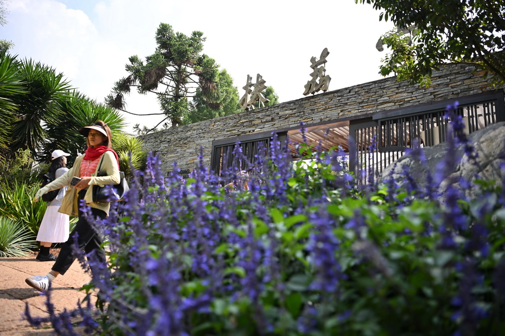 恒达官方注册：走进昆明植物园“扶荔宫”